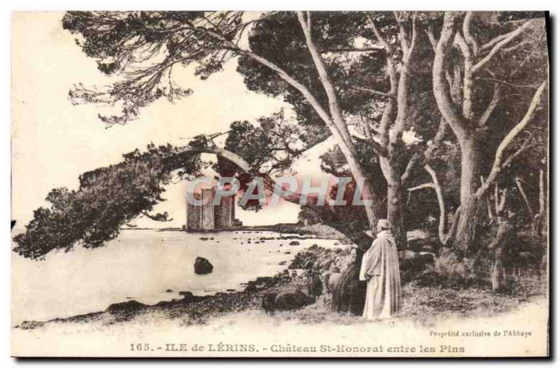 Old Postcard Ile St Honorat Chateau de Lerins between Pins
