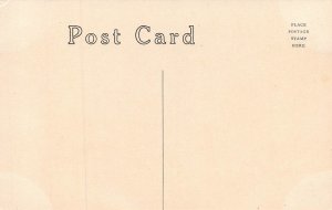 MINNEWASKA NEW YORK~WILDMERE HOUSE~1910s POSTCARD 