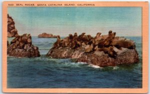 Postcard - Seal Rocks, Santa Catalina Island - California