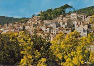 BF21714 bormes les mimosas var vue generalle et mimosa france  front/back image