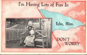 Minnesota Echo 1921 Pennant Series