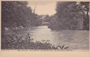 Ohio Elyria Black River Junction Albertype