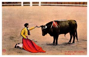 3173  Bull Fighting      Showing Off