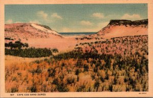 Massachusetts Cape Cod Sand Dunes Curteich