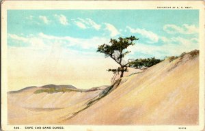 Sand Dunes of Cape Cod MA Vintage Postcard F70