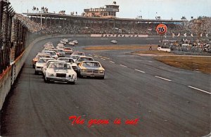 Green Flag, Daytona International Speeway Car Racing Postcard