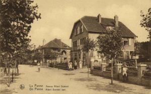 belgium, DE PANNE, Avenue Albert Dumont, People (1920) Postcard