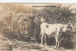 RP; Santa Marta Honduras , 00-10s ; Ox Cart by Railroad Track (bananas)