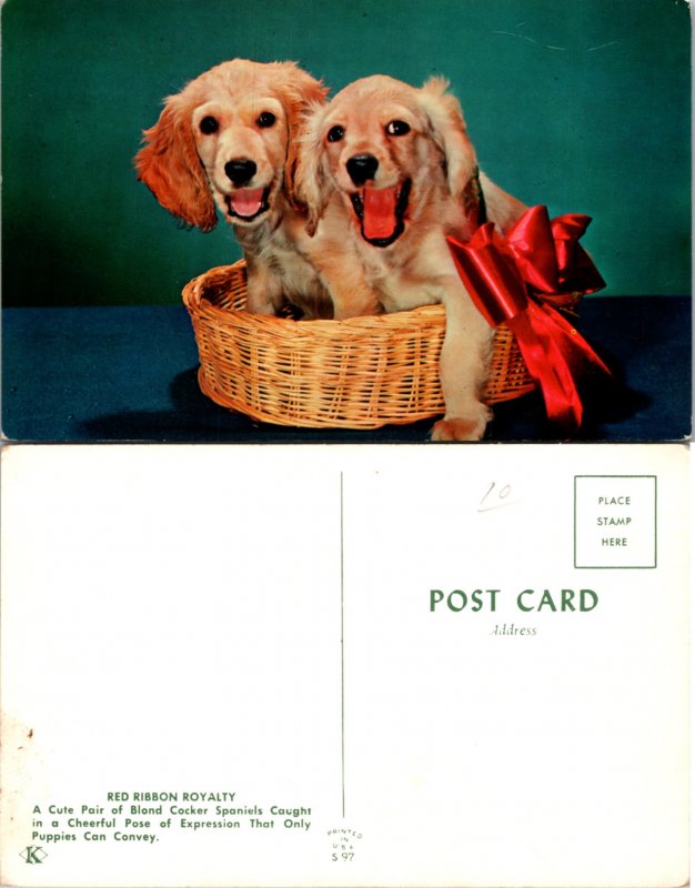 Red Ribbon Royalty (16729