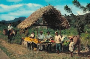 Panama A Typical Native Fruitstand Pan American Panama B11