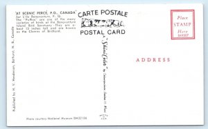 PERCE Puffins Bonaventure P.Q. CANADA Postcard
