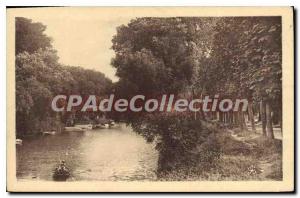 Old Postcard Poissy The Migneaux Arm And I'Avenue