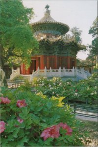 China Postcard - Pavilion of Eternal Spring, Imperial Garden, Beijing  RR13347