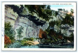 1933 Rock Cliffs Flint Creek Trees Scene Burlington Iowa IA Posted Postcard