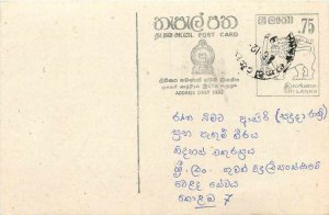 Entier Postal Stationery Postal Sri Lanka Ceylon Lion