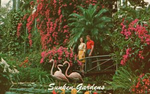 Vintage Postcard Sunken Gardens Young Couple Stroll St. Petersburg Florida FL