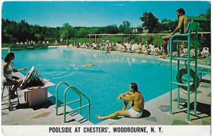 Poolside at Chesters' Woodbourne New York Vacation with the Nicest People