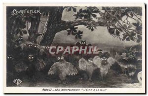 Old Postcard Edmond Rostand Chantecler night L & # 39ode a night owl Hubou