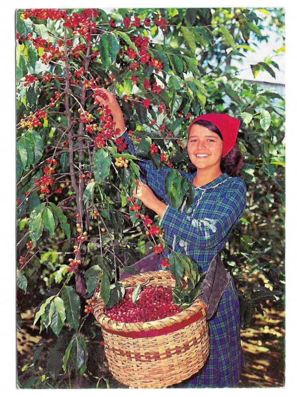 Costa Rica Girl harvesting Coffee Franked Sc# RA59 C556 1970s Airmail to US