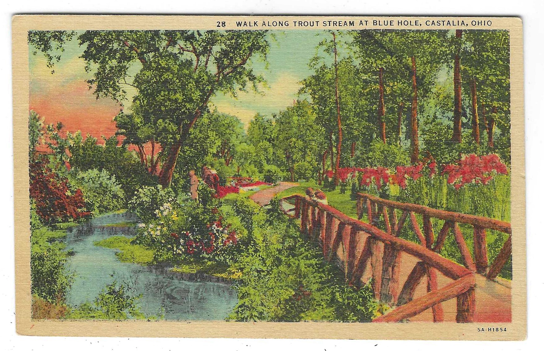 Walk along Trout Stream at Blue Hole, Castalia, Ohio, linen postcard