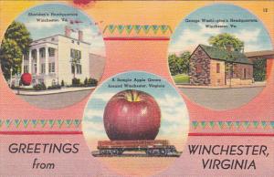 Exageration Large Apple On Train Car Greetings From Winchester Virginia 1951