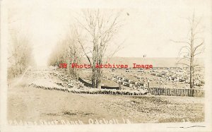 IA, Odebolt, Iowa, RPPC, Adams Sheep Ranch, 1917 PM, Carroll Photo No 25