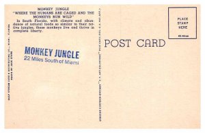 Postcard ANIMAL SCENE Miami Florida FL AR9154