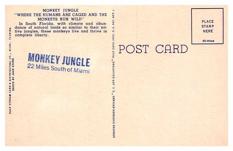 Postcard ANIMAL SCENE Miami Florida FL AR9154