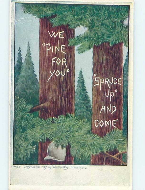 Bent Corner c1910 comic WE PINE FOR YOU - CARVED INTO PINE TREE HL2928