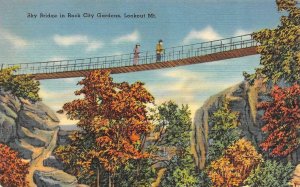 Georgia GA   COUPLE On SKY BRIDGE  Rock City Gardens~Lookout Mountain  Postcard