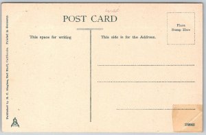 Red Bluff California c1910 Postcard Lover's Lane Dibble Creek Road Tree Stump