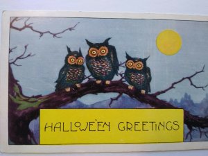 Vintage Halloween Postcard Whitney 3 Owls On Branch Original Embossed Unused