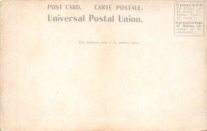 RMS Hilary Booth Line Ship Unused 