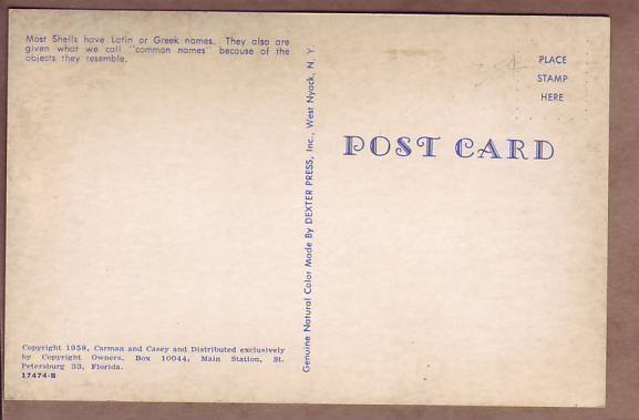 Shell names poem postcard