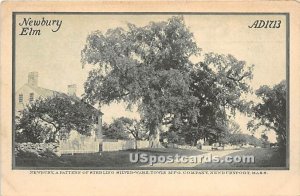 Newbury Elm - Newburyport, Massachusetts MA Postcard