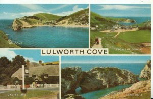 Dorset Postcard - Lulworth Cove Views - Ref 11548A