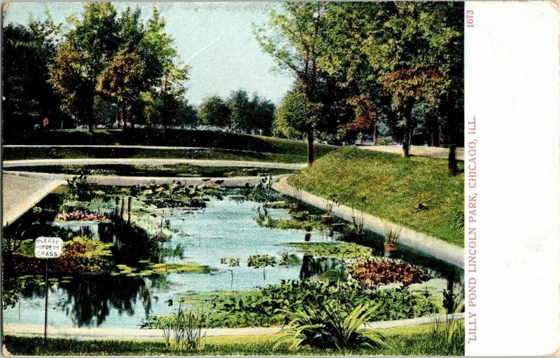 Lilly Pond Lincoln Park Chicago Illinous Divided Back Antique Postcard Vintage 