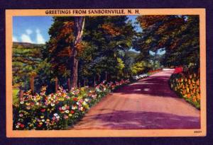 NH Greetings from SANBORNVILLE NEW HAMPSHIRE Postcard