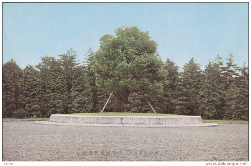 Japanese Tree Monument, 40-60s
