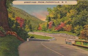 New York Greetings From Parksville