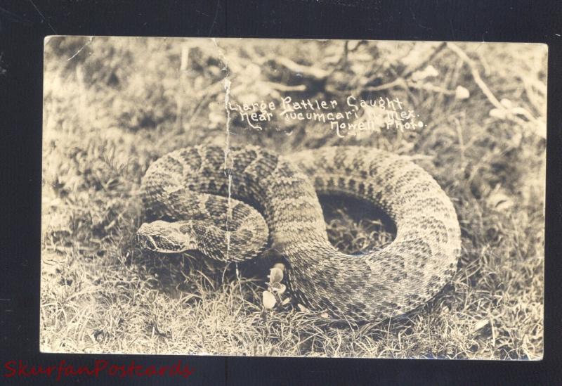 RPPC TUCUMCARI NEW MEXICO RATTLESNAKE SNAKE NOWELL REAL PHOTO POSTCARD