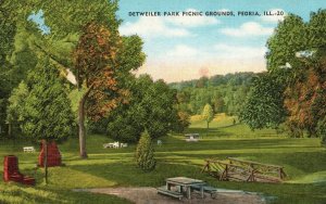 Vintage Postcard 1930's Detweiler Park Picnic Grounds Peoria Illinois ILL