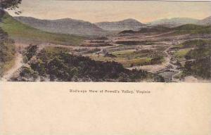 Virginia Powell Valley Birds-Eye View Albertype