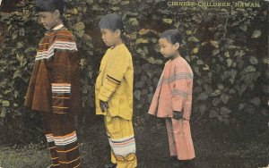 Chinese Children, Hawaii South Seas Curio Co. c1910s Vintage Postcard