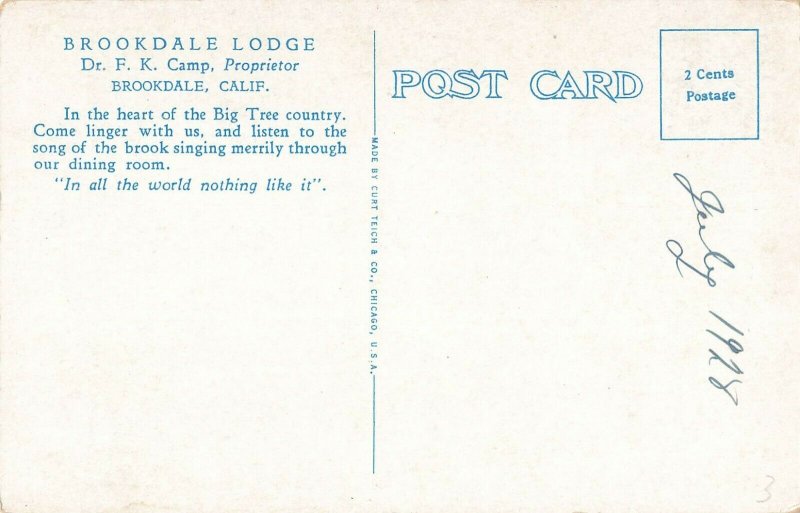 Postcard 1928 Brook In Dining Room/Lodge, Santa Cruz Mountains, California ME3.