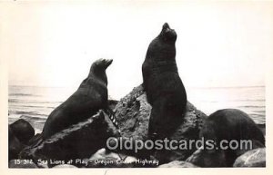 Oregon Coast Highway, USA Real Photo - Sea Lions Unused 