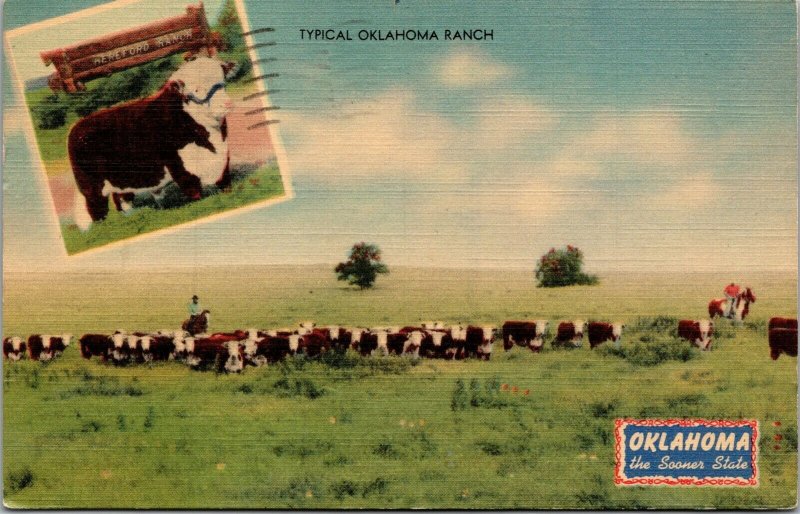 Vtg OK Typical Oklahoma Ranch Cowboy Rancher Driving Cattle Livestock Postcard