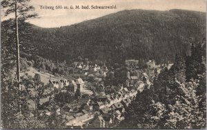 Germany Triberg im Schwarzwald Vintage Postcard 03.81