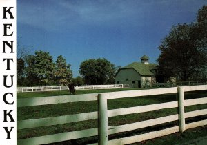 PICTURESQUE HORSE FARM FOR WHICH KENTUCKY IS FAMOUS CONTINENTAL SIZE POSTCARD