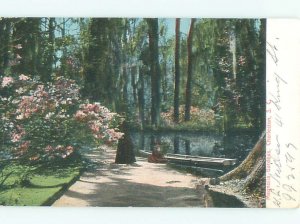 Pre-1907 MAGNOLIA GARDENS SCENE Charleston South Carolina SC AF7150